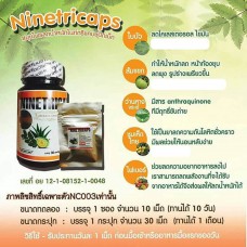 Ninetricaps by SECRATE SLENDA ไนท์ตริแคป บาย ซีเครส สเลนดา