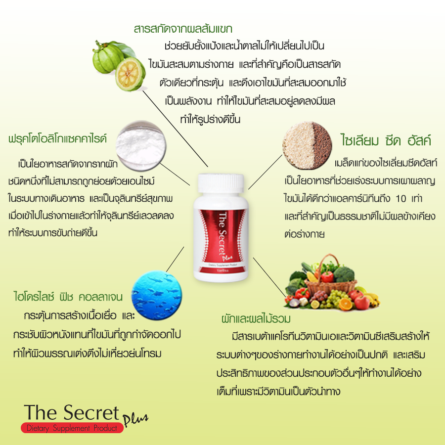 The-Secret-Plus-----L90109988